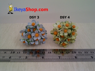 DSY 3 4  large2